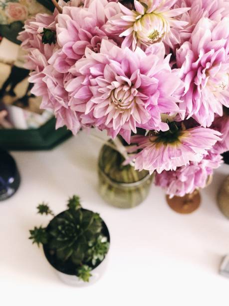 istock Pink flowers succulent home beautiful 2189082254