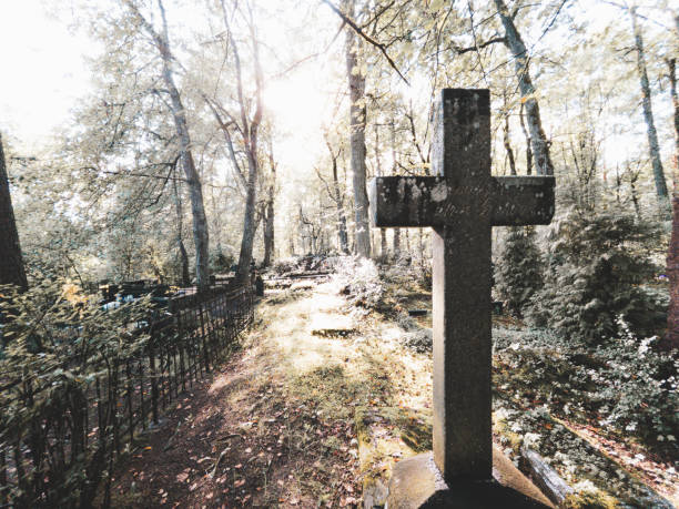 A tranquil cemetery scene with a crafted cross amidst lush greenery and warm sunlight filtering through
