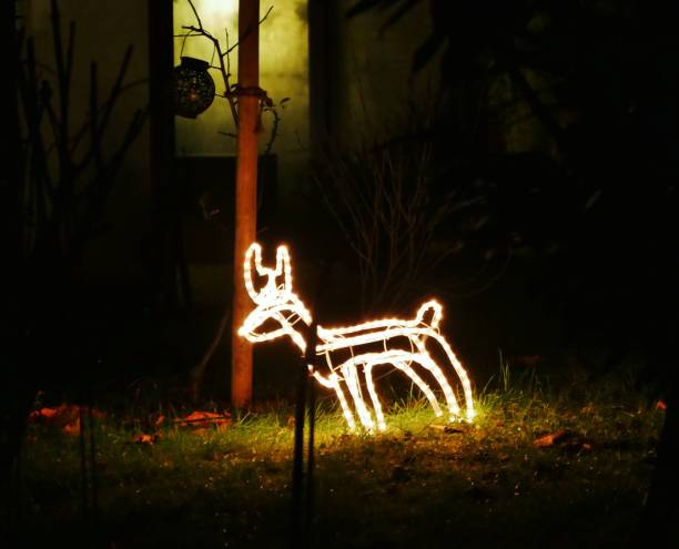 istock reindeer in the garden by night 2189084836
