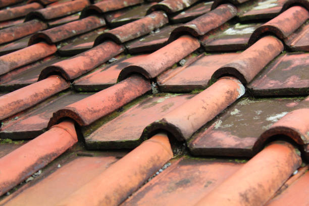 istock Traditional aged clay roof tile background 2189085537