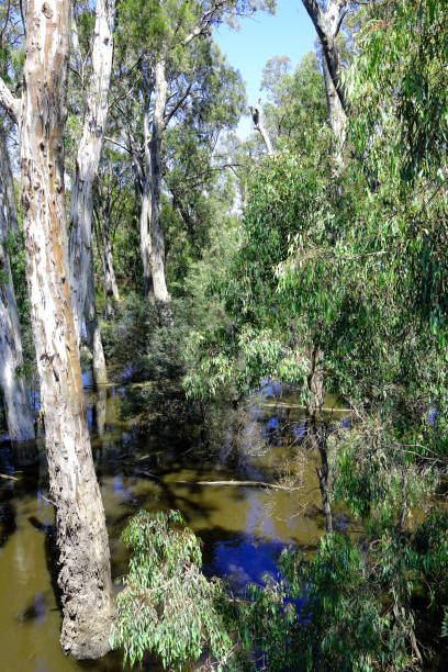 istock Echuca, Northern Country, Victoria, Australia 2189086161