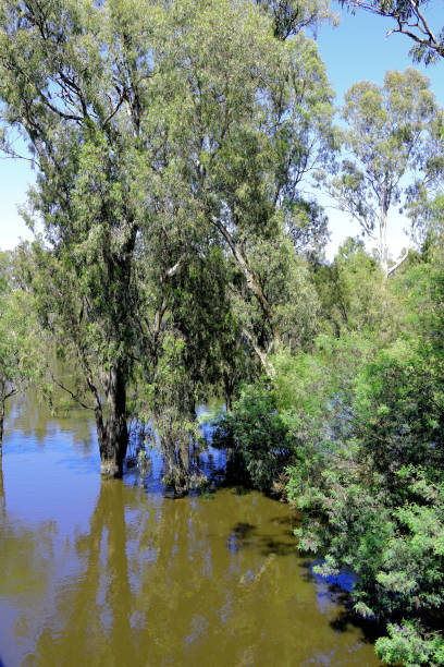 istock Echuca, Northern Country, Victoria, Australia 2189086270