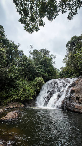 istock A waterfall in Sinharaja Rainforest in Sri Lanka 2189092476