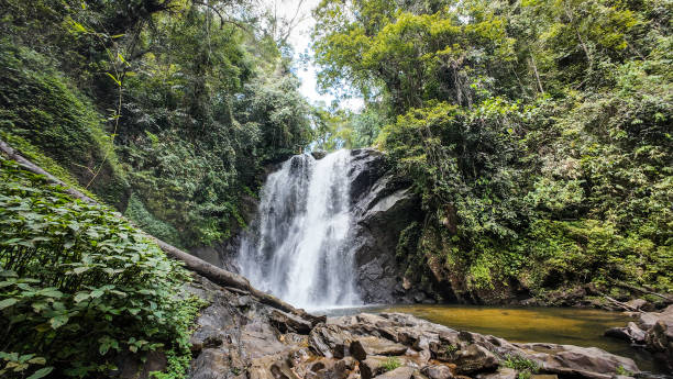 istock A waterfall in Sinharaja Rainforest in Sri Lanka 2189092494