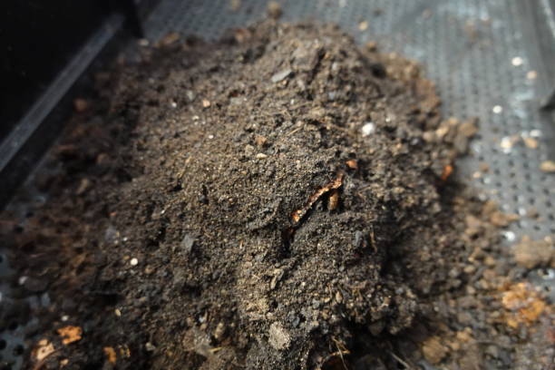 istock Compost filling a wormery in a garden 2189093927