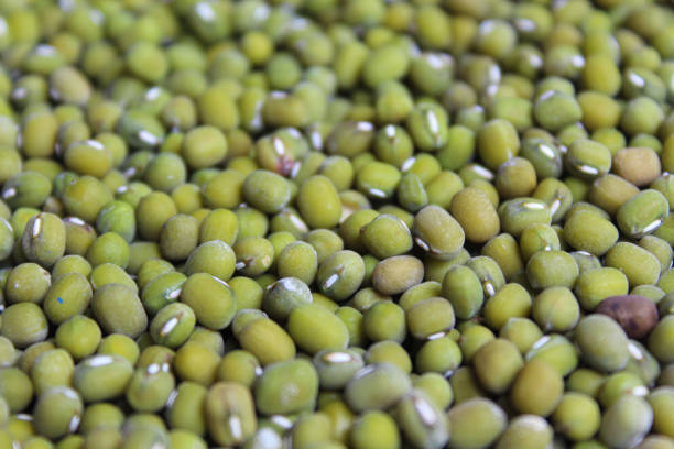 istock Background texture of mung beans or Vigna radiata or green gram 2189094375