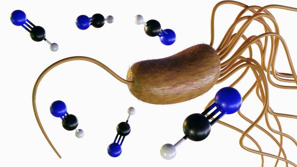 istock 3d rendering of Pseudomonas fluorescens and cyanide molecules 2189099891