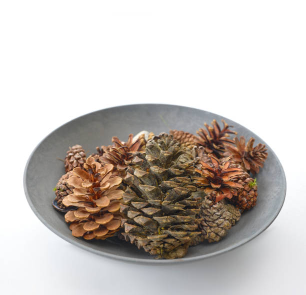 Photo of Cane cones in a ceramic bowl  on white background. Photo taken with a Medium Formate camera. Very detailed and sharp.