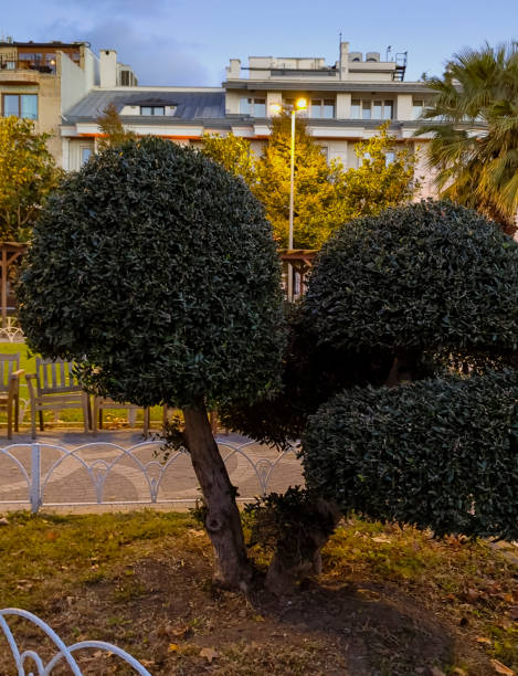 istock Cundi Park in Istanbul Old Town 2189105090