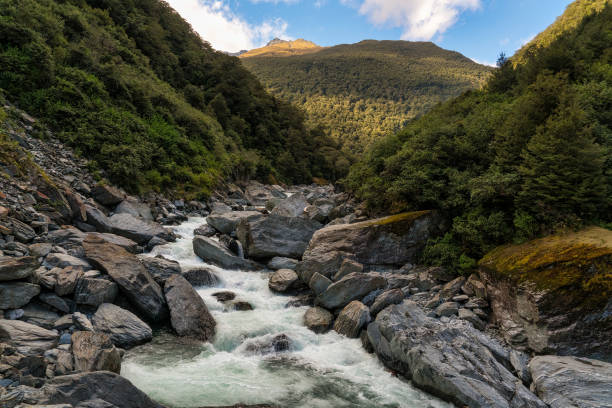 The Haast river rapidly flowing through the mountains and alpine forest  near Hells Gate, Haast Pass West Coast NZ