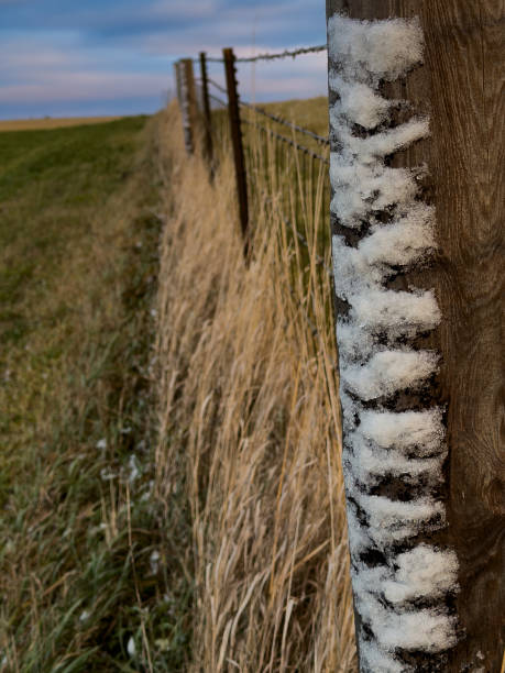 Wooden snow fence with snowdrift on downwind side. This fence is used to keep snow off of a road. Wyoming, USA.