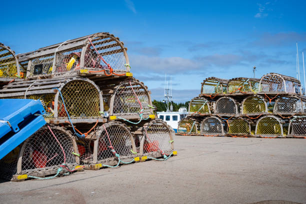 Leaning stack of atlantic lobster traps at the pier on a summer day, waiting for the next fishing season