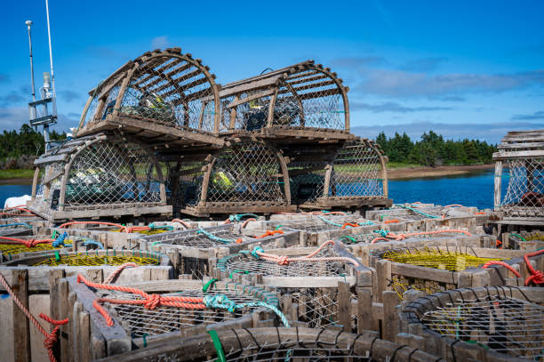 istock Leaning stack of atlantic lobster traps at the pier on a summer day, waiting for the next fishing season 2189110092