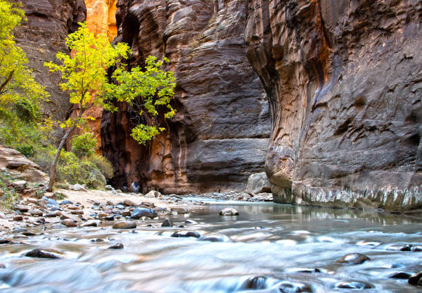 istock The Narrows. Zion National Park 2189114258