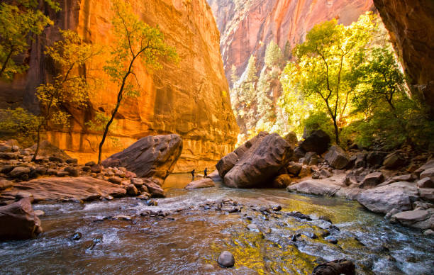 Beautiful hike in narrow canyon of Zion National park. The Narrows