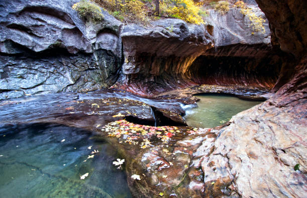 Left Fork ( Subway) beautiful  hike in Zion National Park, Utah. Autumn Waterfall