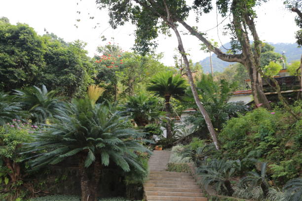 istock A lush green garden with a path leading up to a house 2189114623