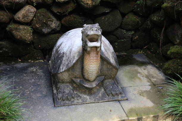 Turtles survive on the Los Llanos of Colombia