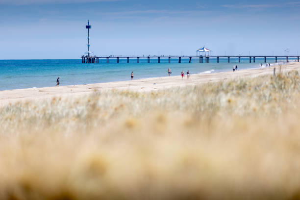 Brighton Jetty on beautiful blue sky summers day. situated on the coast of Adelaide in the suburb of Brighton.