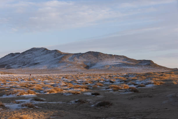 Snow covered mountains of the Tian Shan with gras covered valley