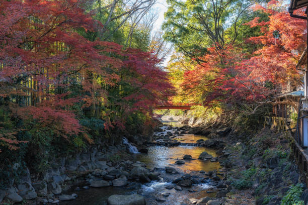 istock Katsura River Autumn Foliage Scenery 2189122178