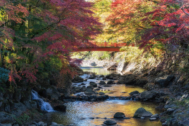istock Katsura River Autumn Foliage Scenery 2189122248