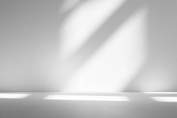 istock Wall interior background, studio and backdrops show products.with shadow from window color white . background for text insertion and presentation product 2189125480