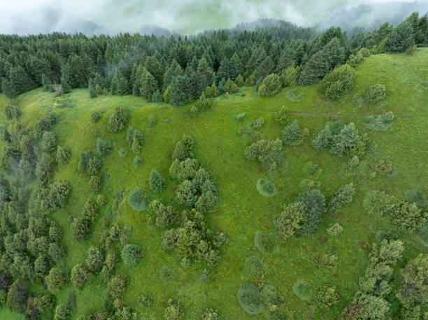 istock Beautiful high elevation mountains landscape in Sichuan,China 2189127214