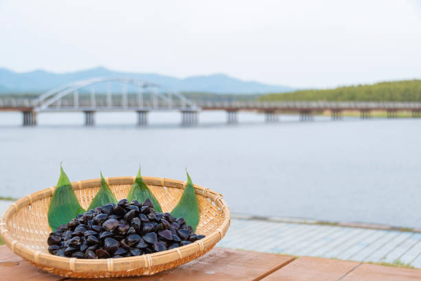 istock Freshwater clam (Shijimi clam) from Lake Jusan, Aomori Pref. 2189128720
