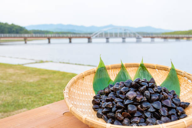 istock Freshwater clam (Shijimi clam) from Lake Jusan, Aomori Pref. 2189128733