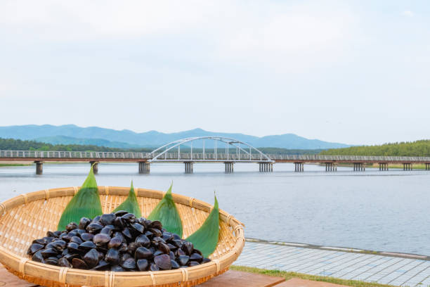 istock Freshwater clam (Shijimi clam) from Lake Jusan, Aomori Pref. 2189128763