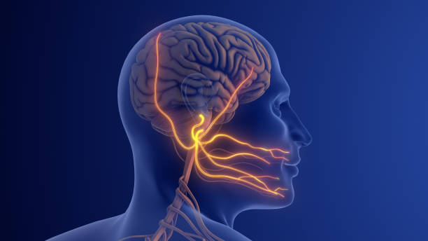 istock Trigeminal Neuralgia Causing Severe Facial Nerve Pain 2189130000