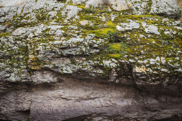 Beautiful rocky riverbank overgrown with moss, natural background, selective focus. Nature, texture, pattern organic, forest, fairy tale concept