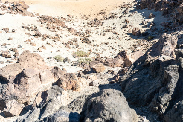 Lava Fields, Pumice Volcano Stones Texture, Volcanic Pumice Pattern, Pieces of Lava, Teide Basalt Extrusive Igneous Rock, Color Porous Volcano Stones in Spain, Tenerife, Peak of Teide