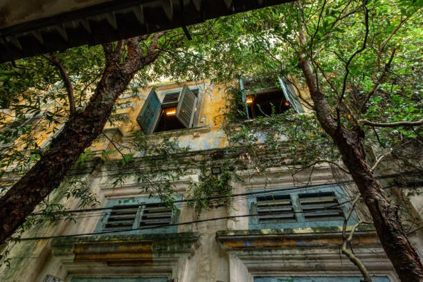 Old house wall with windows and big trees in Ipoh Perak Malaysia