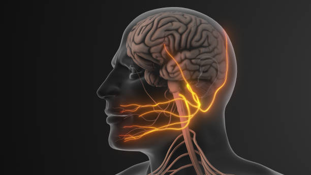 istock Facial Pain Triggered by Trigeminal Nerve Compression 2189137184