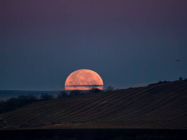 istock Very dense close-up of red full moon in the night sky 2189141010