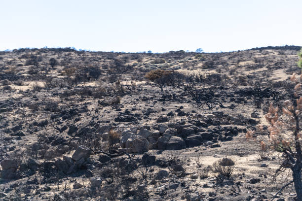 istock Lava Fields, Pumice Volcano Stones Texture, Volcanic Pumice Pattern, Pieces of Lava, Basalt Extrusive Igneous Rock 2189142116