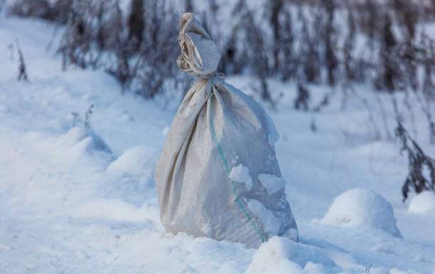 istock A bag of white material is sitting in the snow 2189142216