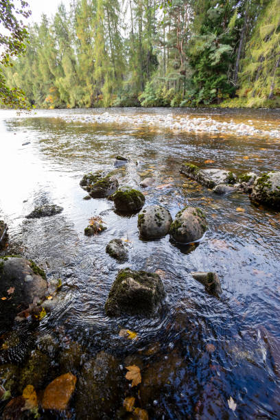istock River in Scottish woodland 2189146781