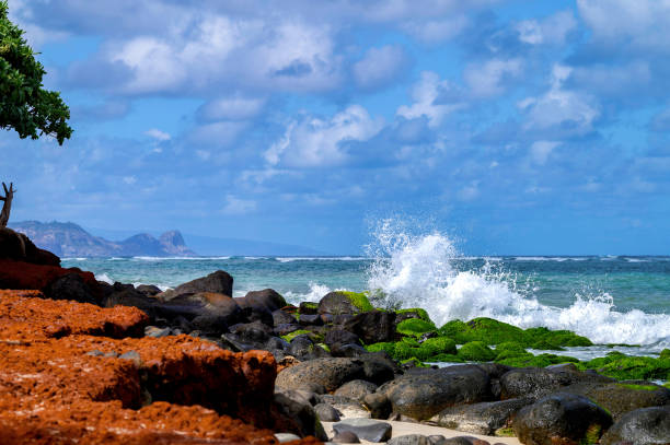 A stunning coastal scene featuring waves crashing onto moss seaweed-covered rocks under a vibrant blue sky. Captured on Maui, Hawaii, this image highlights the island's rugged beauty, perfect for travel or nature themes.