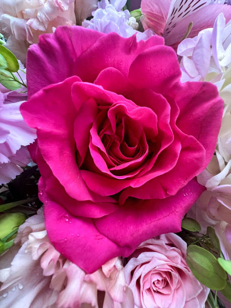 istock Bouquet of different beautiful flowers 2189150849