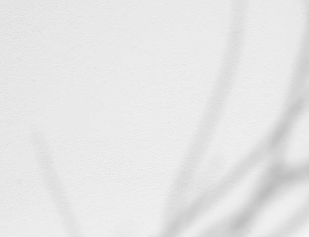 istock Soft shadow of tropical natural branches on wall. tree leaves isolated on white cement 2189151831