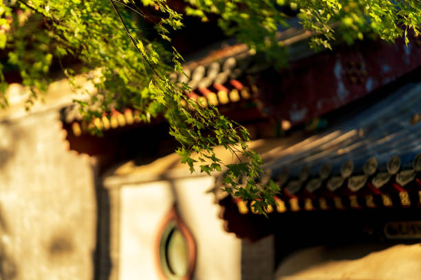 Chinese eaves are the overhanging part of a roof that extends beyond the exterior walls of a building.