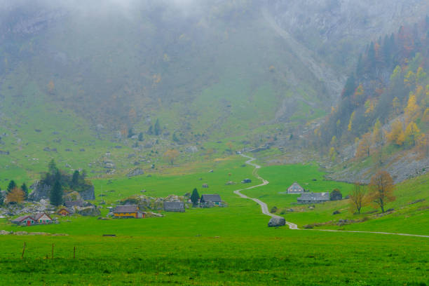 swiss village in summer