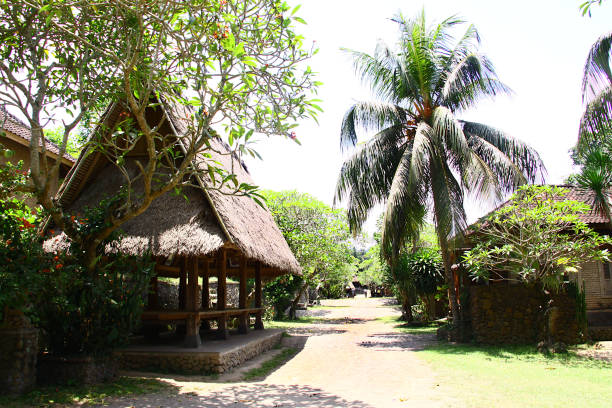 istock Tenganan village 2189165833