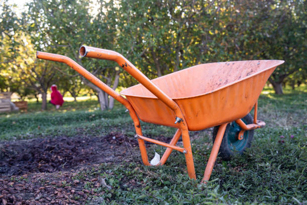 wheelbarrow in the garden