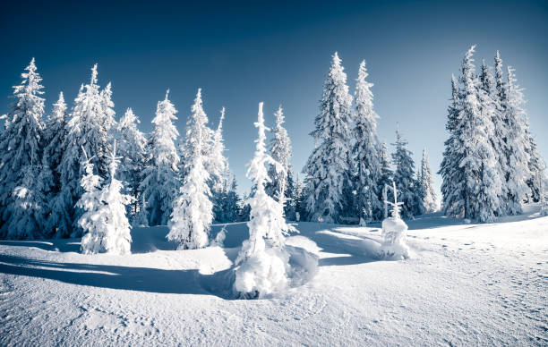 istock Impressive winter landscape on a frosty day. 2189176252