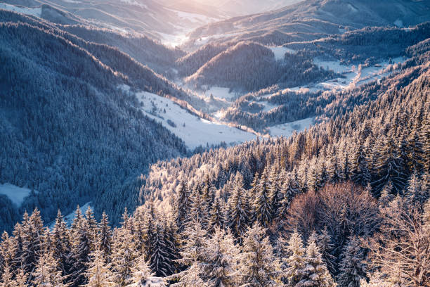 istock Impressive winter landscape on a sunny day with frosty freshness. 2189176583