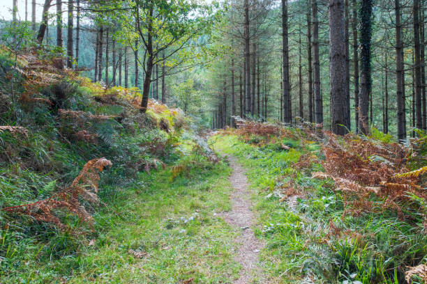 istock Gorbea Nature Park in the Basque Country 2189177768